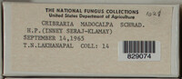 Image Associated With the Occurence